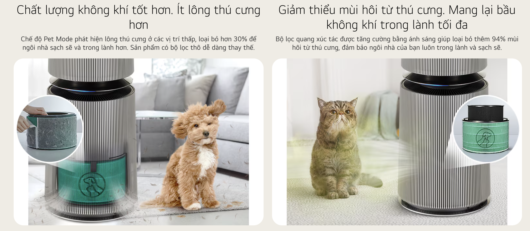 Screen Shot 2024-10-22 at 12.44.53